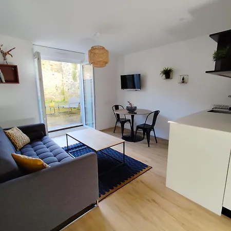 T1 Grand Confort Avec Terrasse Privee Lejlighed *